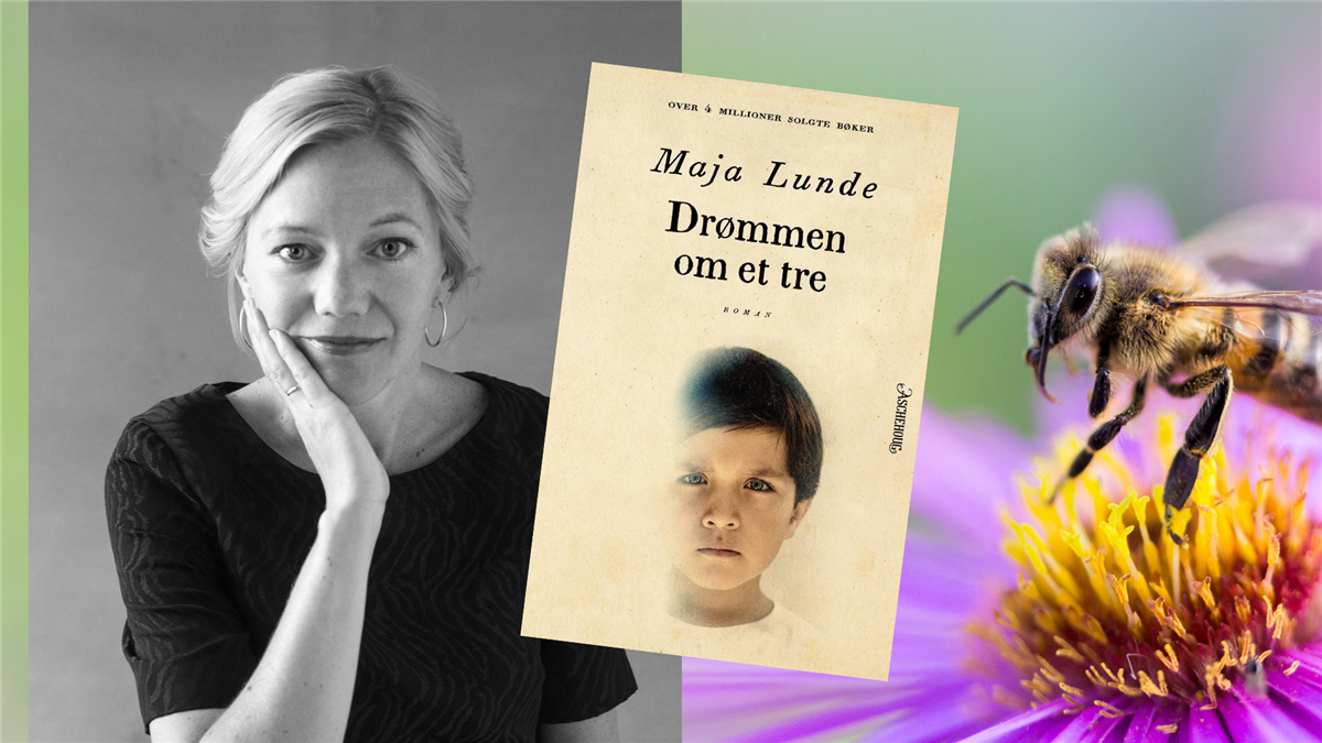 Foto av Maja Lunde og coveret på boka Drømmen om et tre. - Klikk for stort bilde